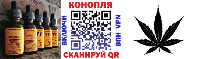 Купить где  Домодедово  Cannafood конопля 