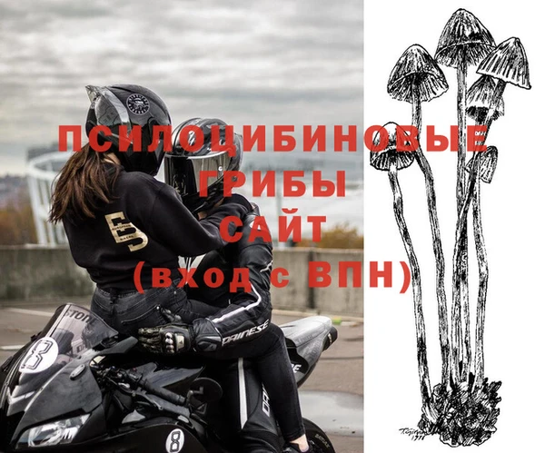 марки nbome Нефтегорск