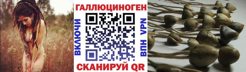 Купить закладки  Домодедово  Псилоцибиновые грибы прущие грибы 